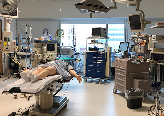 Healthcare Simulation Software