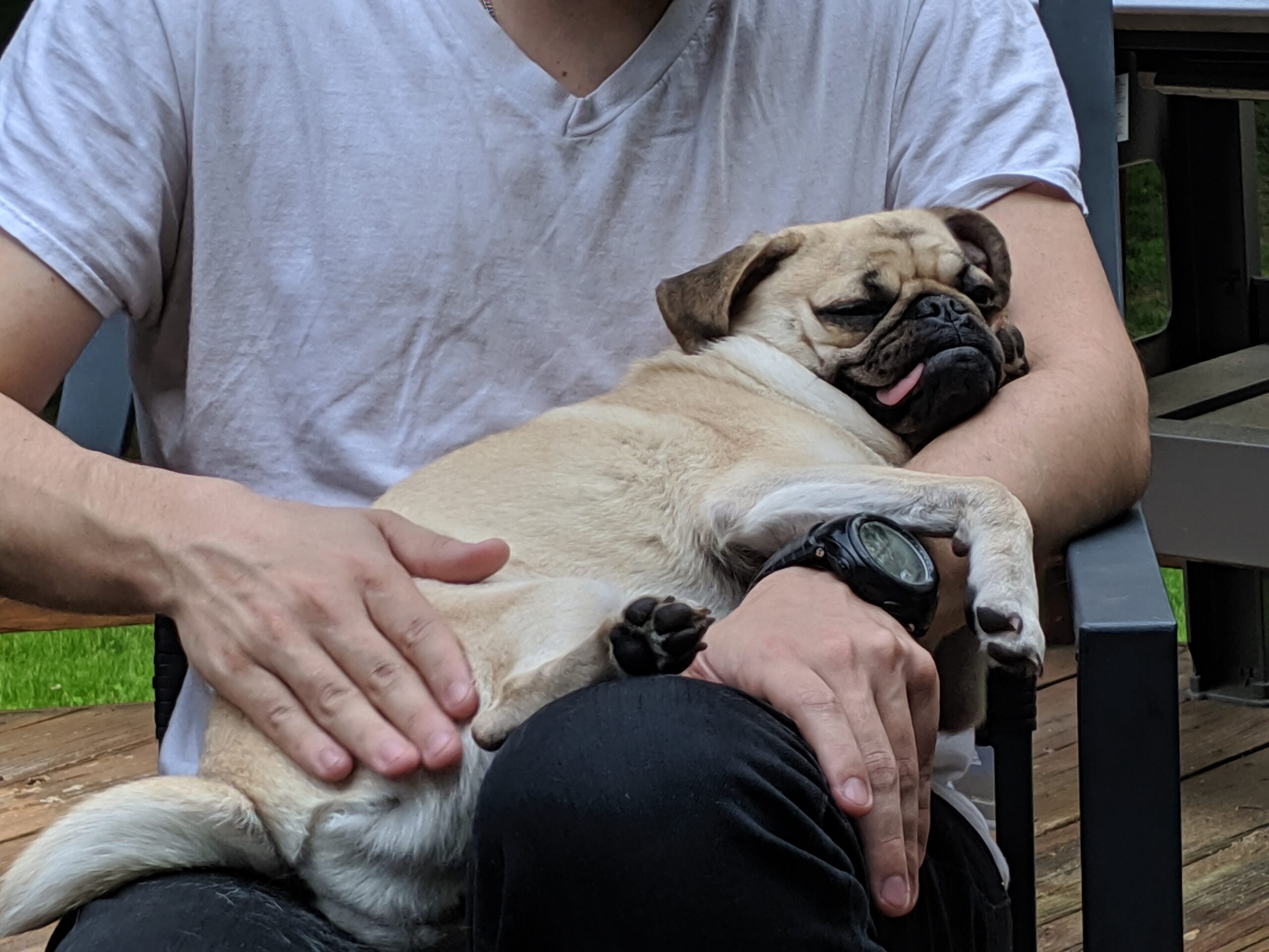 Person in a light gray T-shirt cradling a sleeping pug on a wooden deck outdoors.